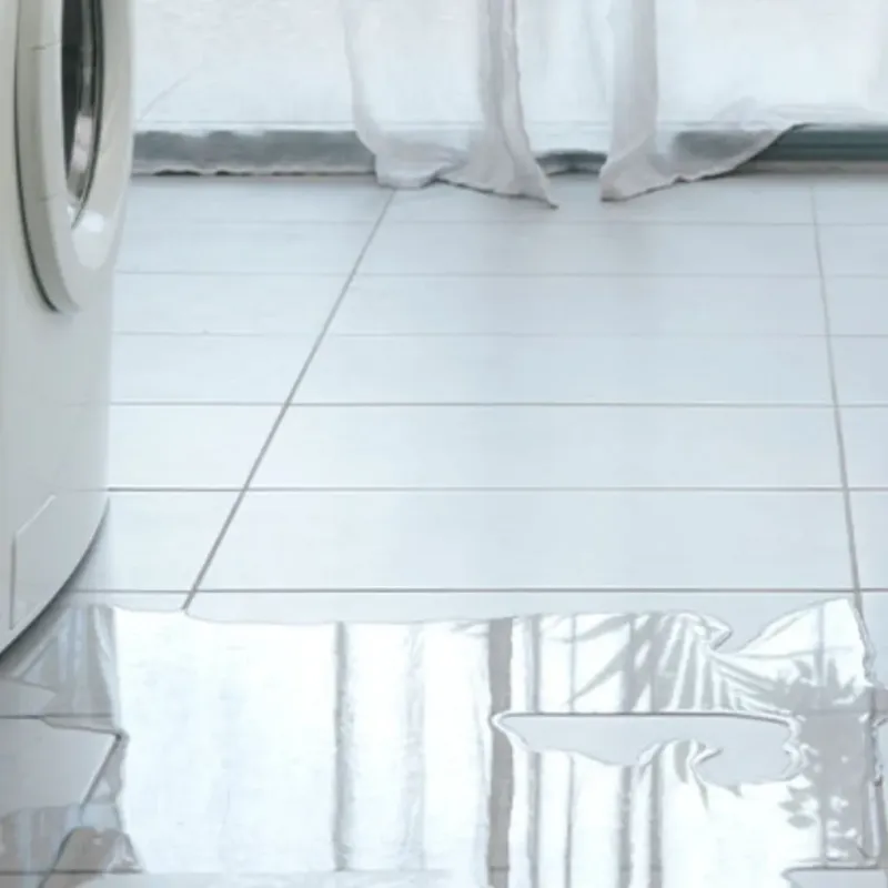 Appliance Leak Cleanup in Missouri City, TX