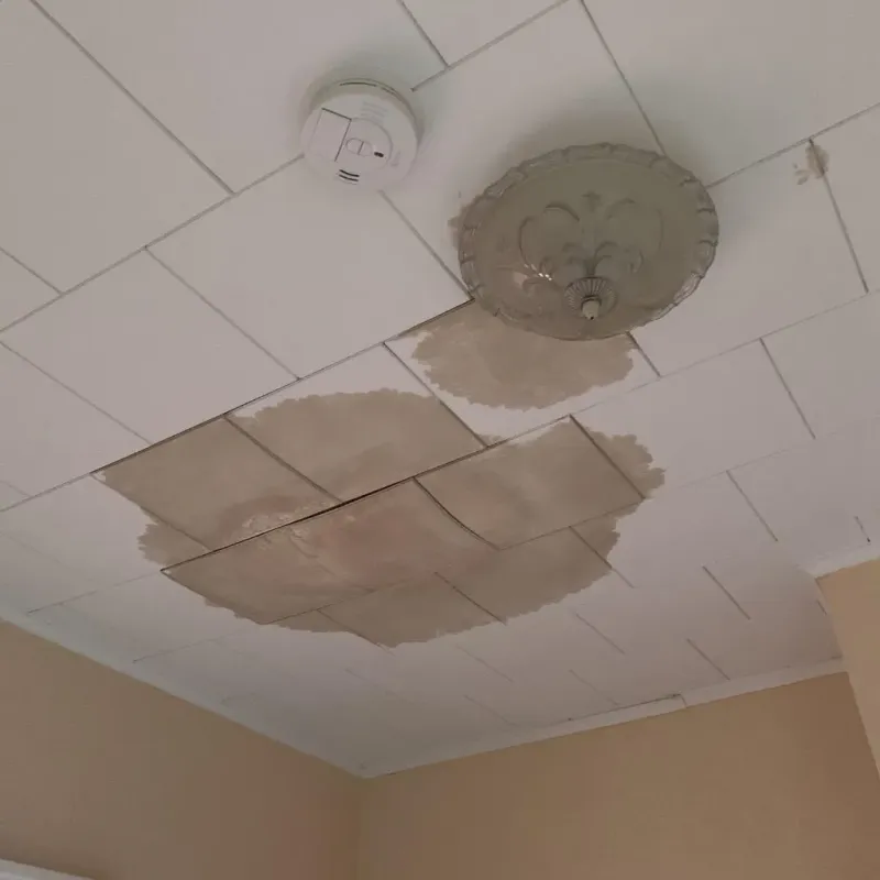 Ceiling Water Damage Repair in Missouri City, TX
