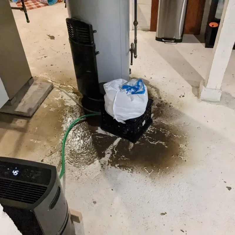 Sewage Backup Cleanup Service in Missouri City, TX